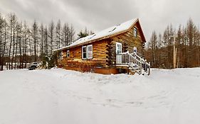 Twin View Log Home